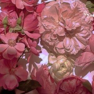 Meet your posher, Eva